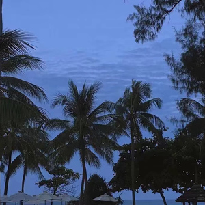 日本小视频在线
